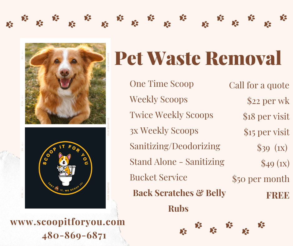 Scoop It For You - Photo 4