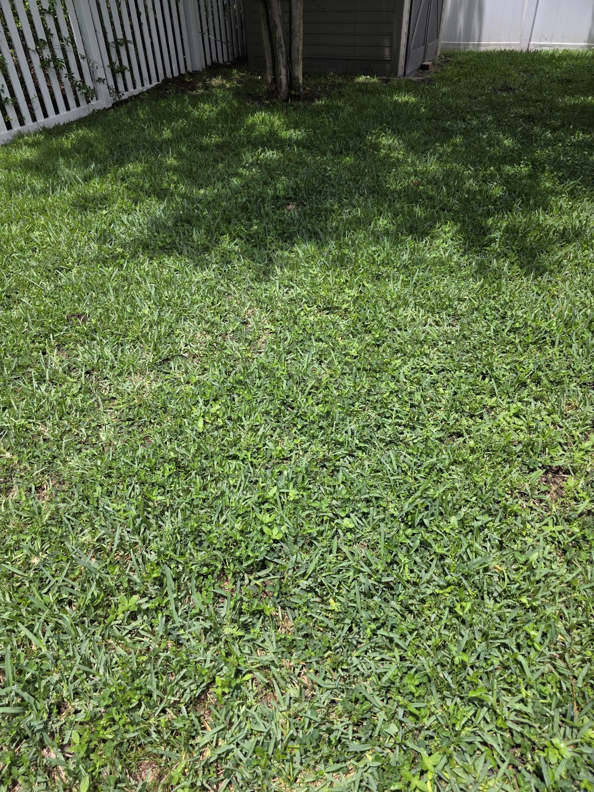 Heath Dedman Pet Waste Cleanup