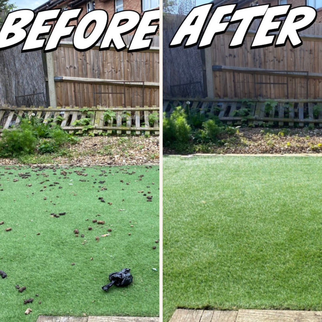 Golden Scooper - Photo 4