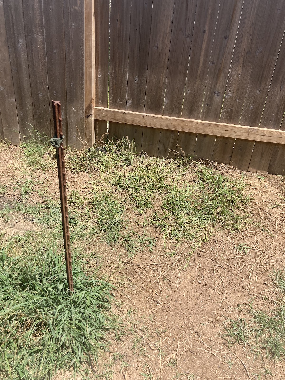 Lone Star Pet Waste Solutions - Photo 3