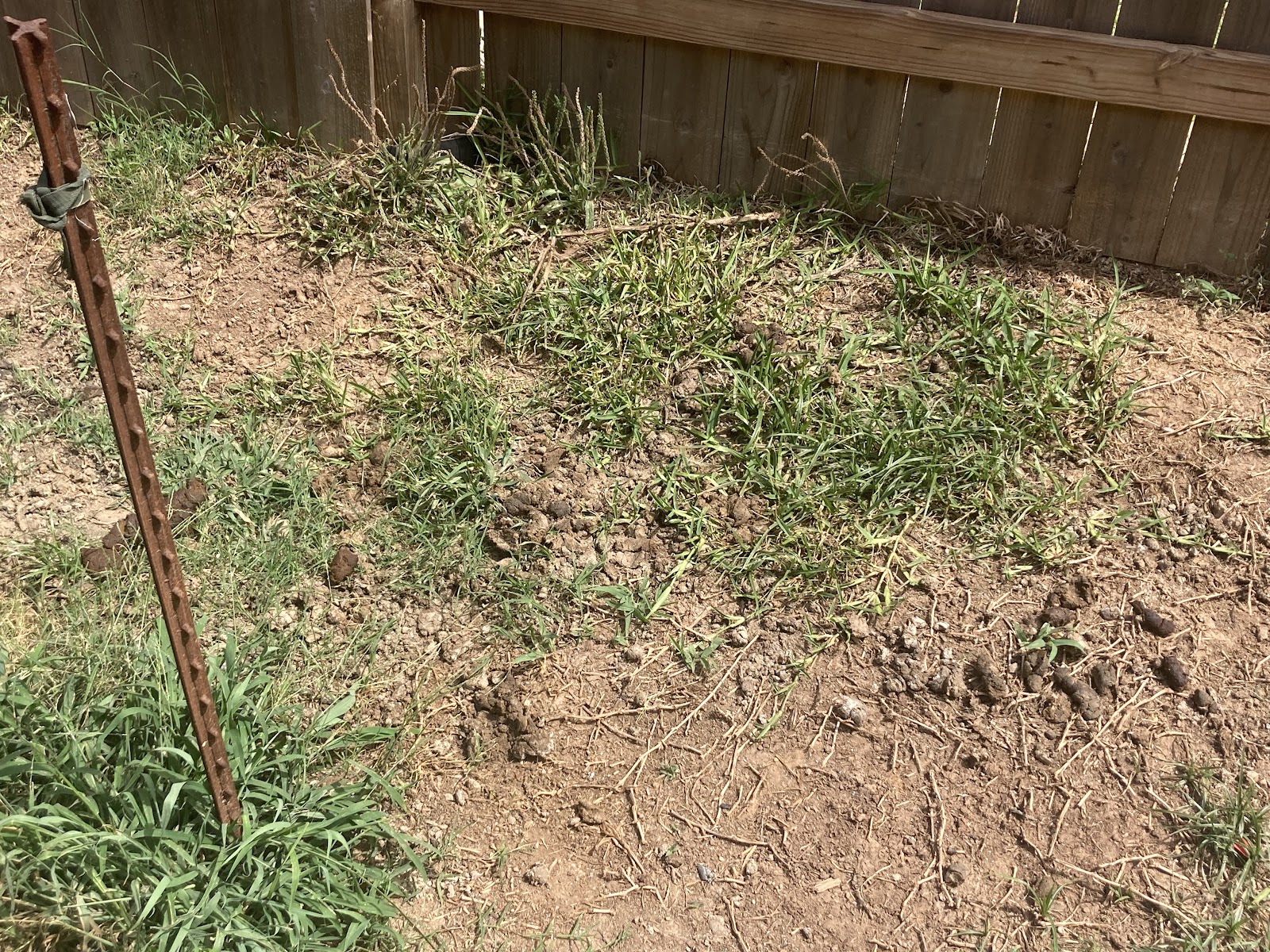 Lone Star Pet Waste Solutions - Photo 4