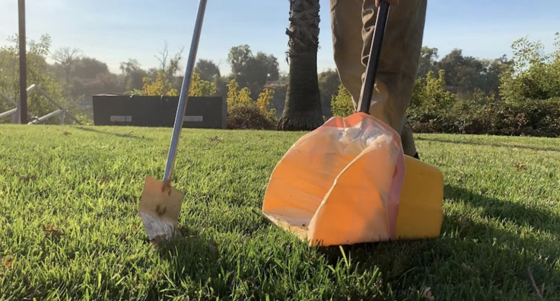 Austin Poop Scoop - Photo 3