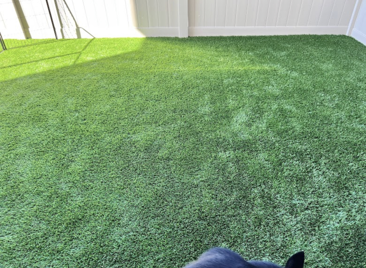 Austin Poop Scoop - Photo 4