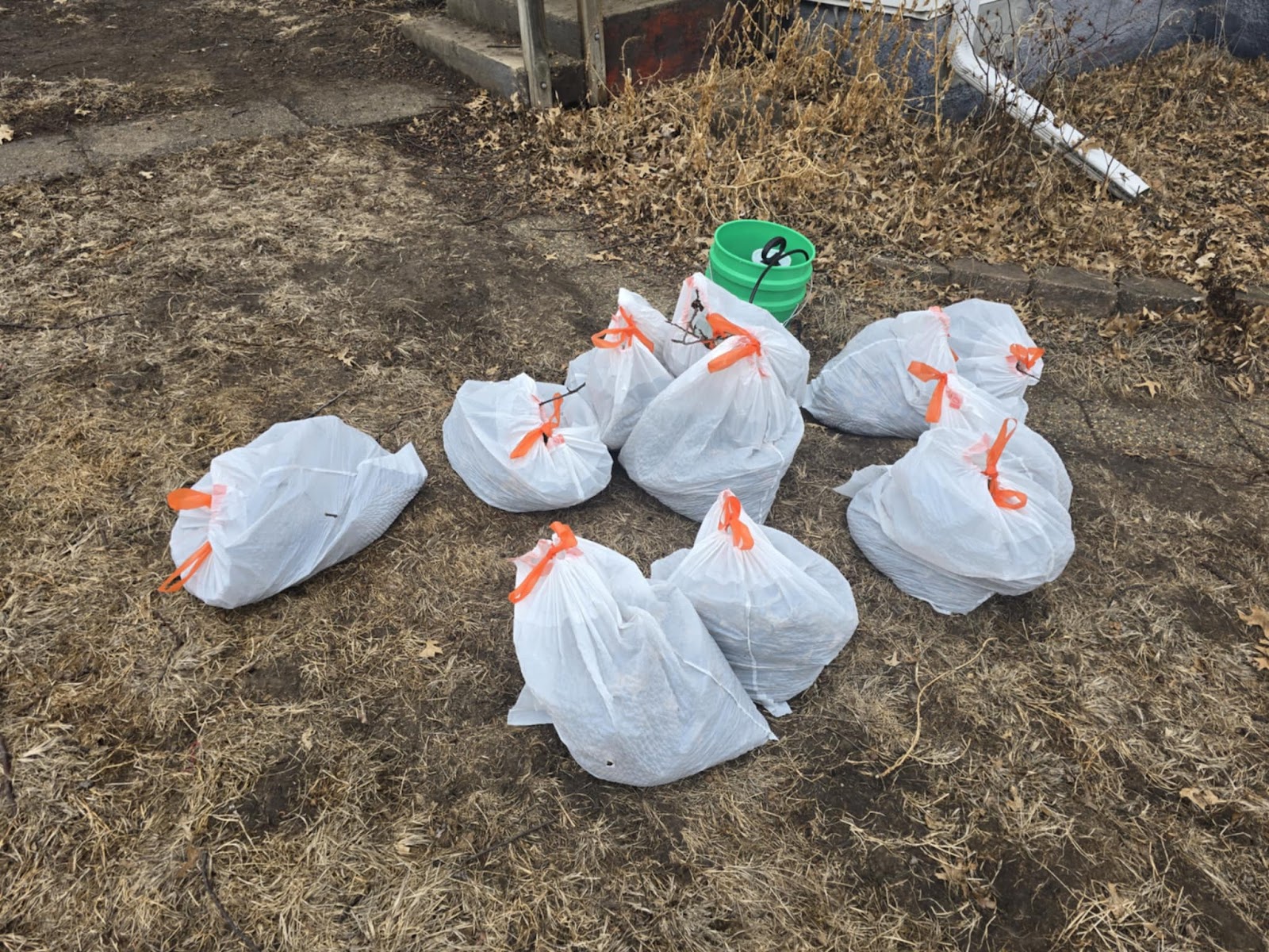 PawSitive Poop & Scoop, LLC - Photo 3