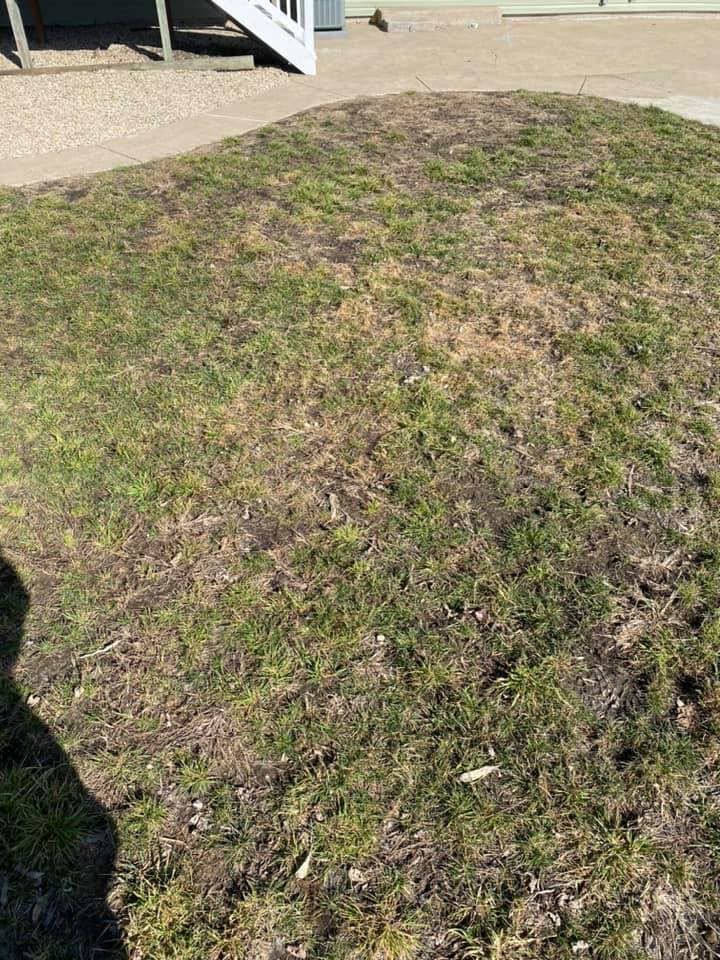 SuperHero Pet Waste Removal - We Pick Up Your Dog's Poop :) - Photo 2