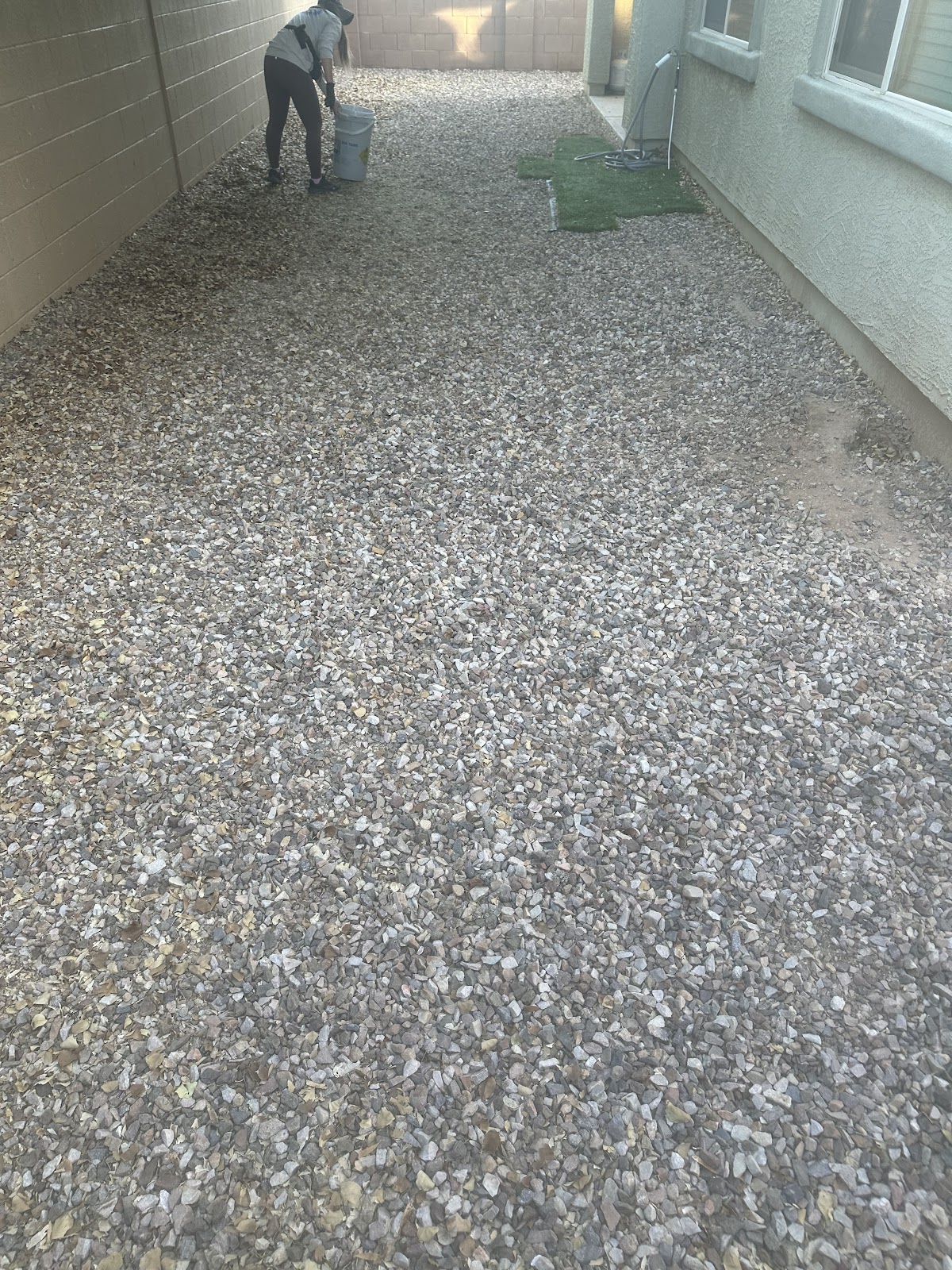 Doggy Doody Pet Waste Removal LLC - Photo 2