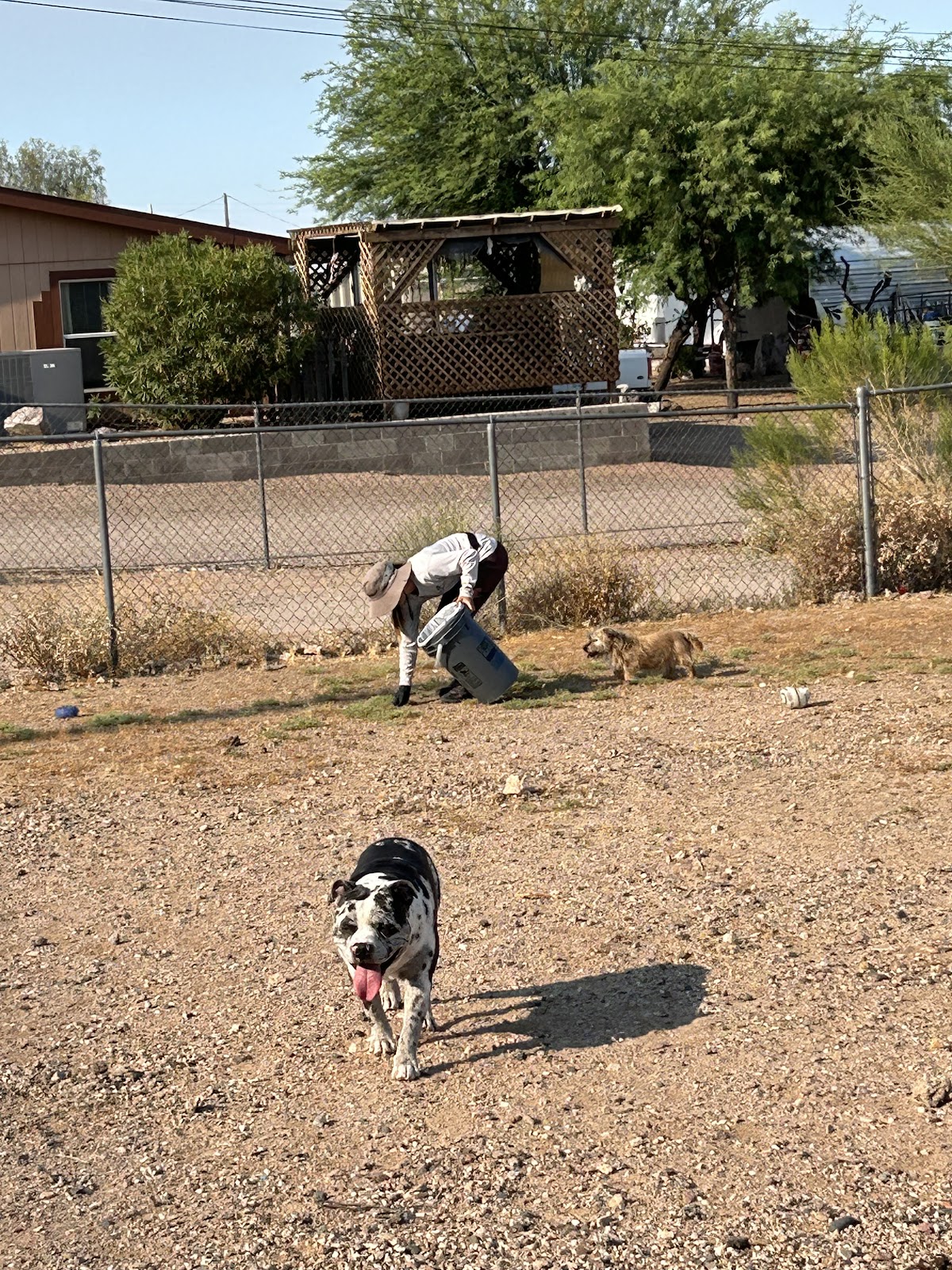 Doggy Doody Pet Waste Removal LLC - Photo 3