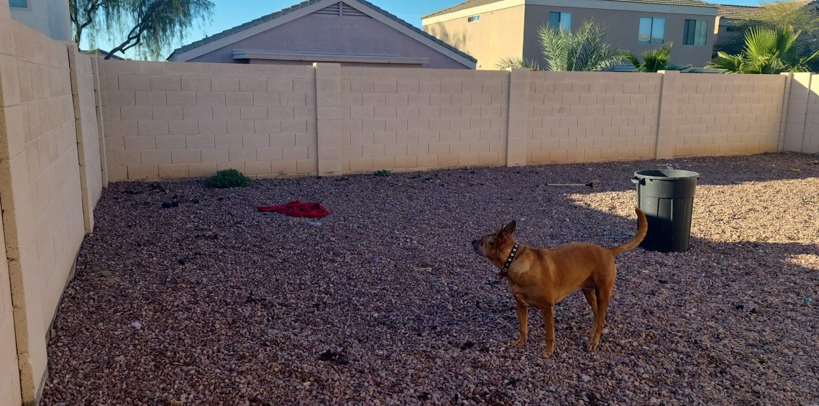 The Poop Fairy - Photo 3