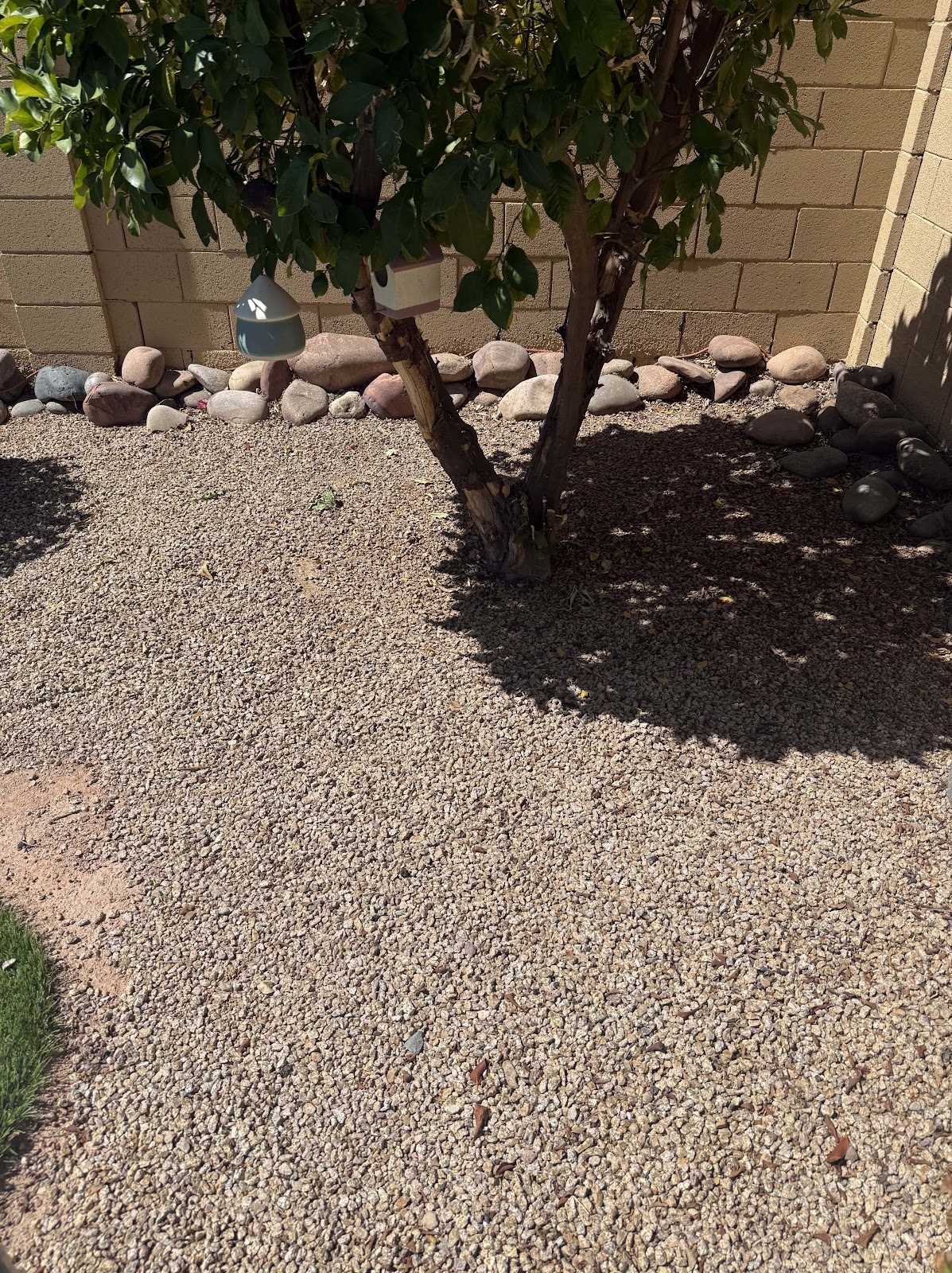 Doo Doo Detectives Az (Pet Waste Removal, Dog Poop Pickup, Pooper Scooper)