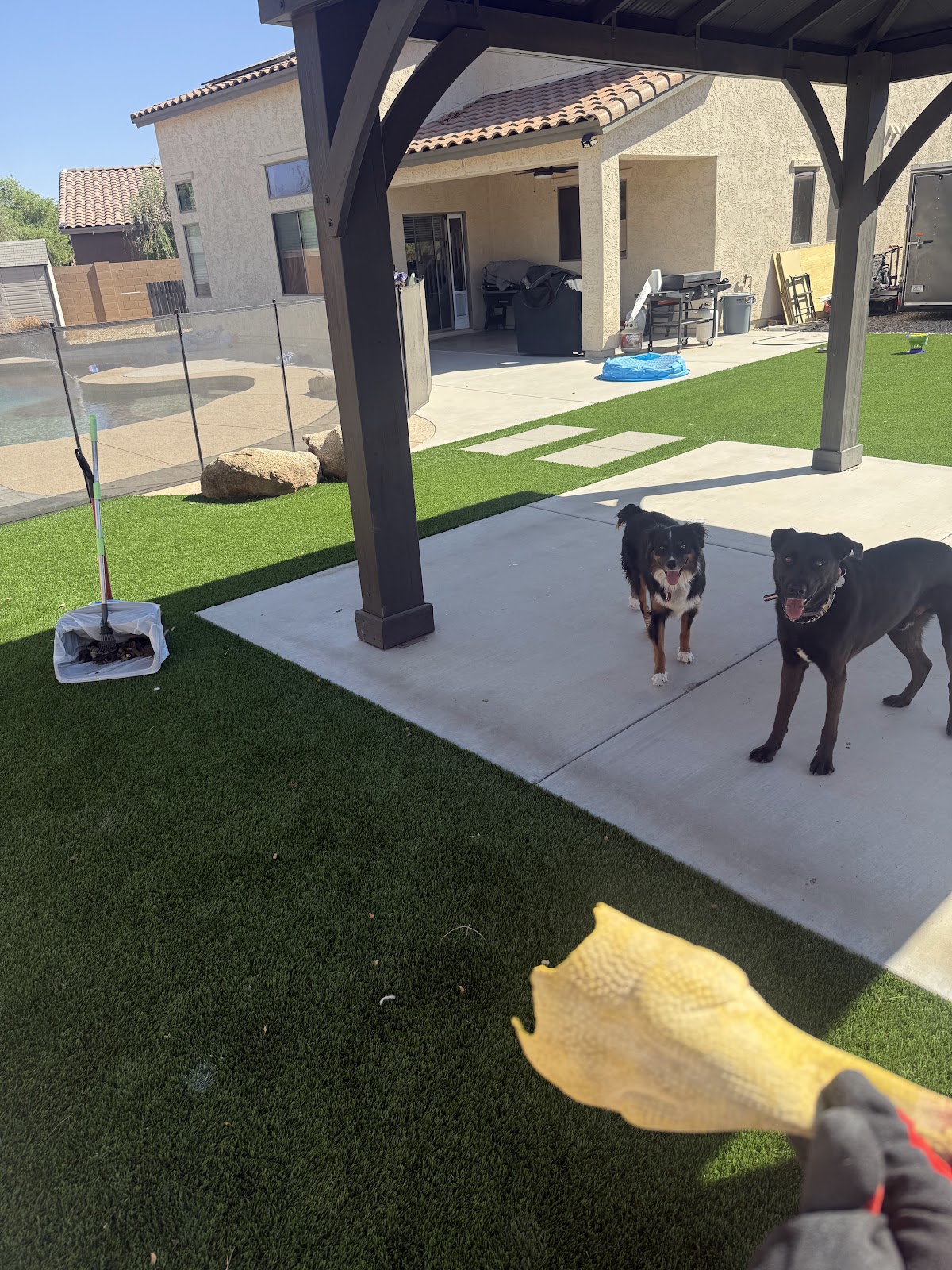 Doo Doo Detectives Az (Pet Waste Removal, Dog Poop Pickup, Pooper Scooper) - Photo 3