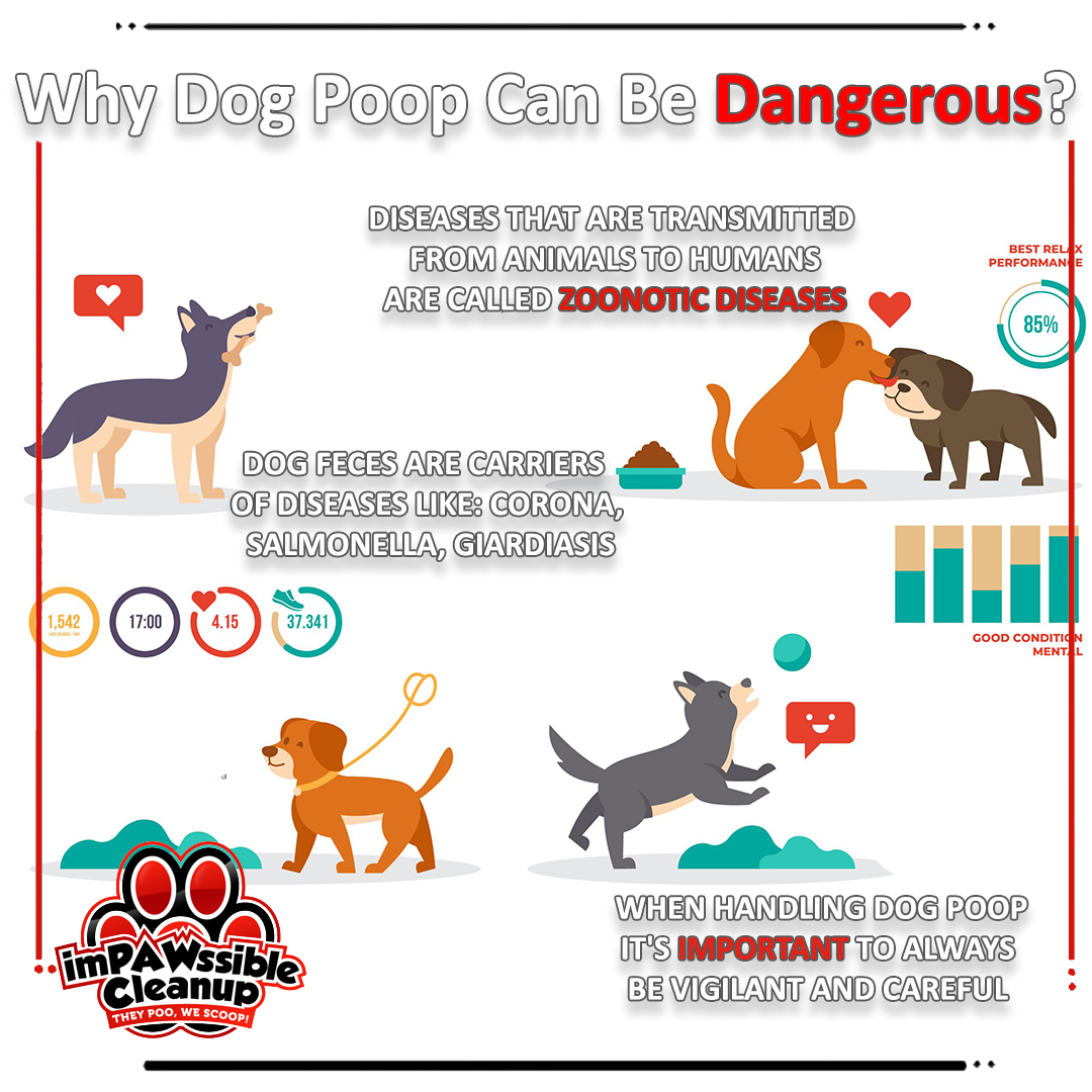 ImPAWssible Cleanup (Pet Waste Removal Services) - Photo 3