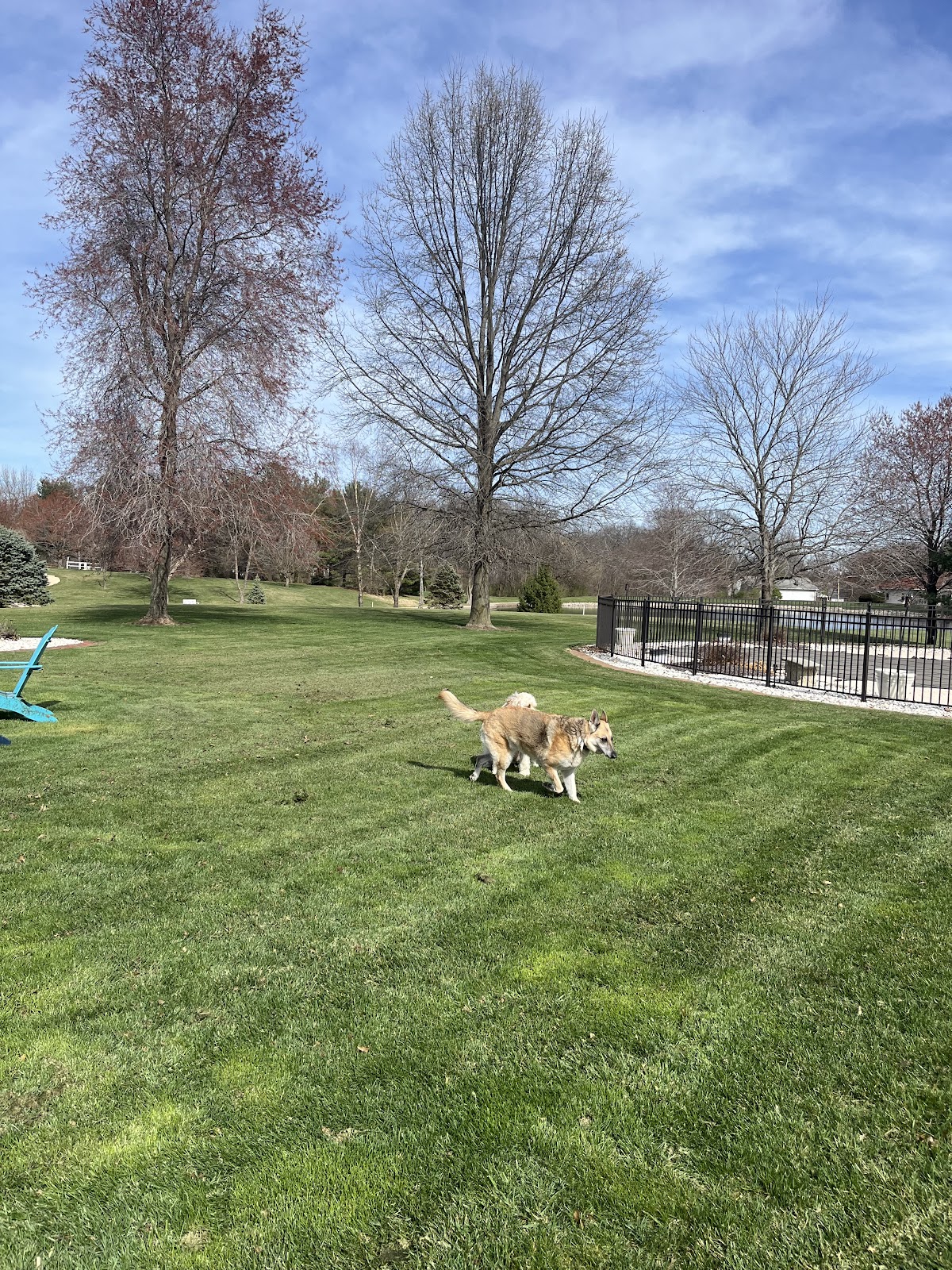 POOP 911 River Bend - Photo 4