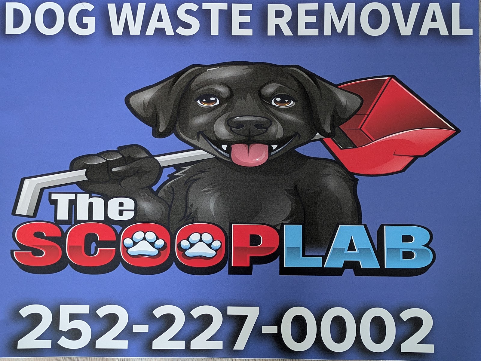 The Scoop Lab - Photo 3