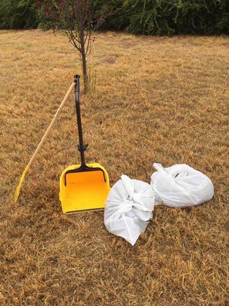 Private Pile's Pet Waste Management - Photo 2