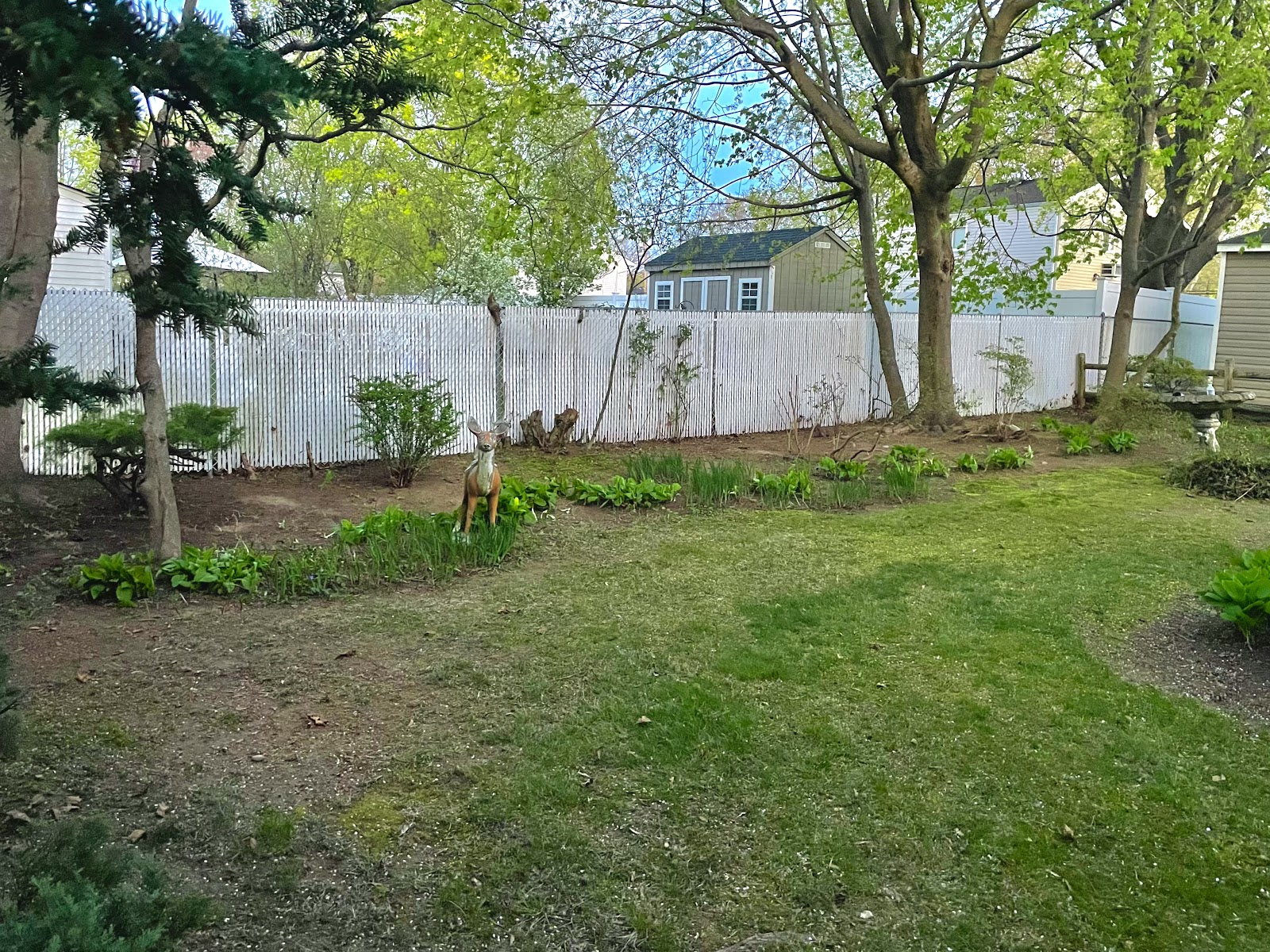 PoopAway Inc. - Photo 2