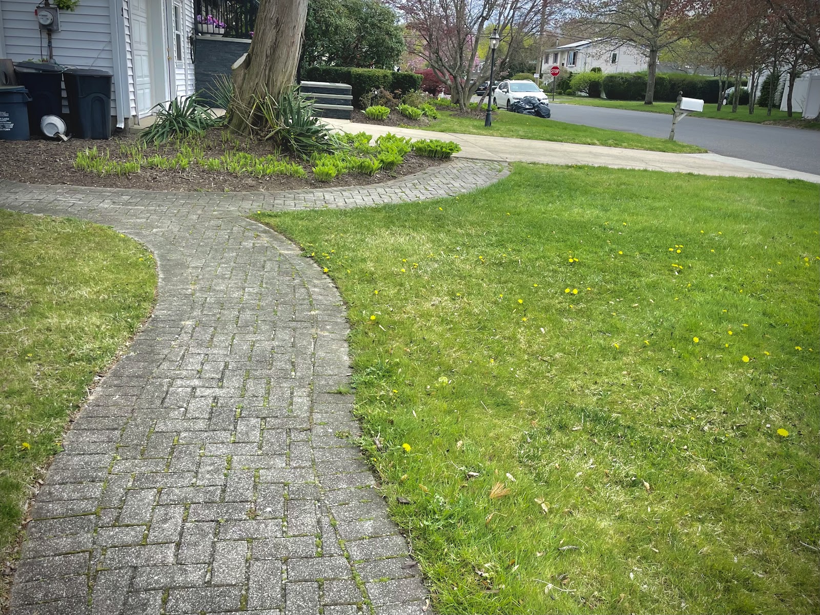 PoopAway Inc. - Photo 4