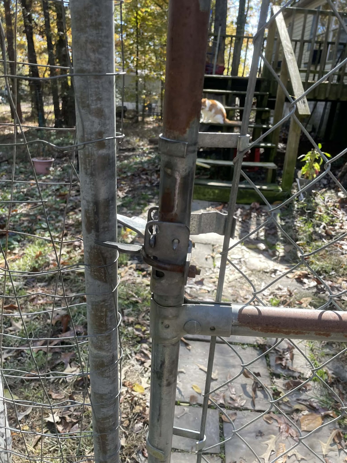 K9 Poop Scoopz - Photo 4