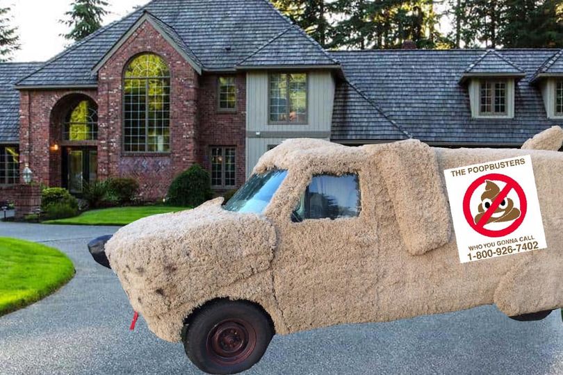 The Poopbusters