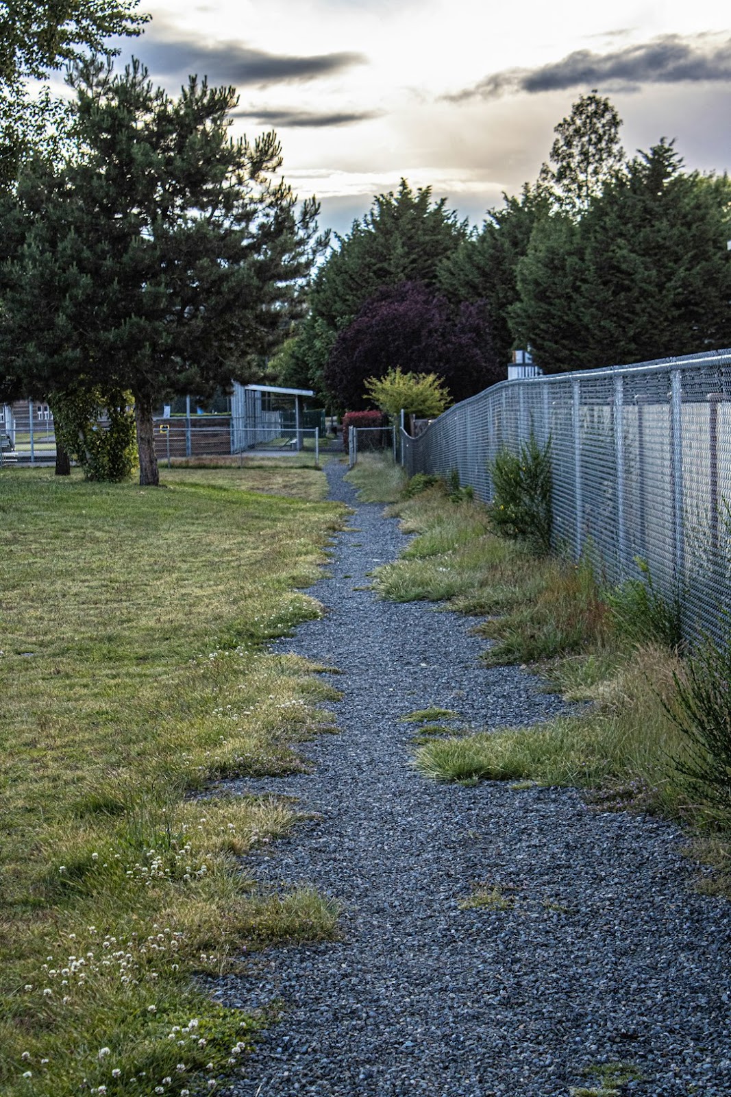 East TN PooPatrol - Photo 3