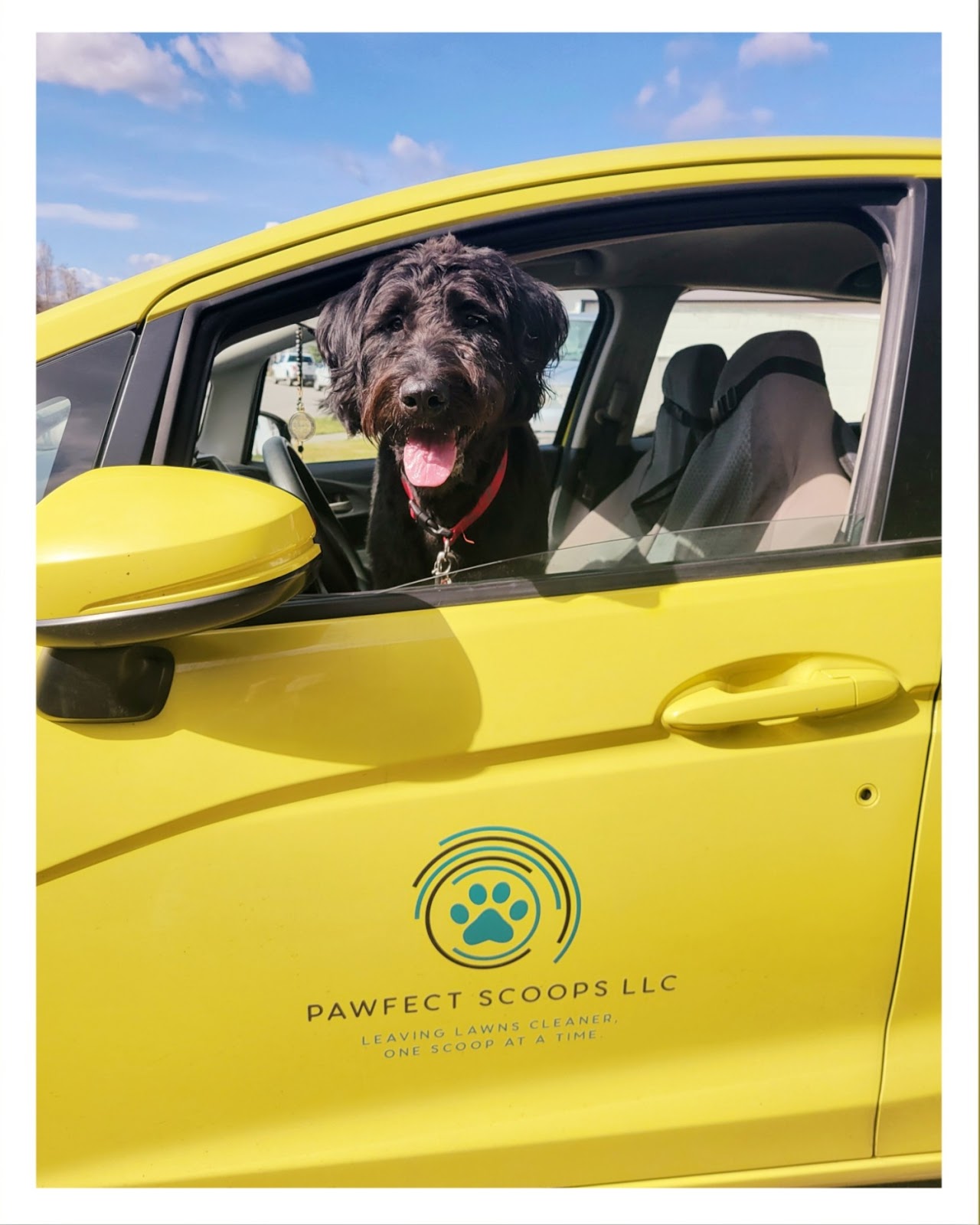 Pawfect Scoops LLC - Coeur d'Alene - Photo 2