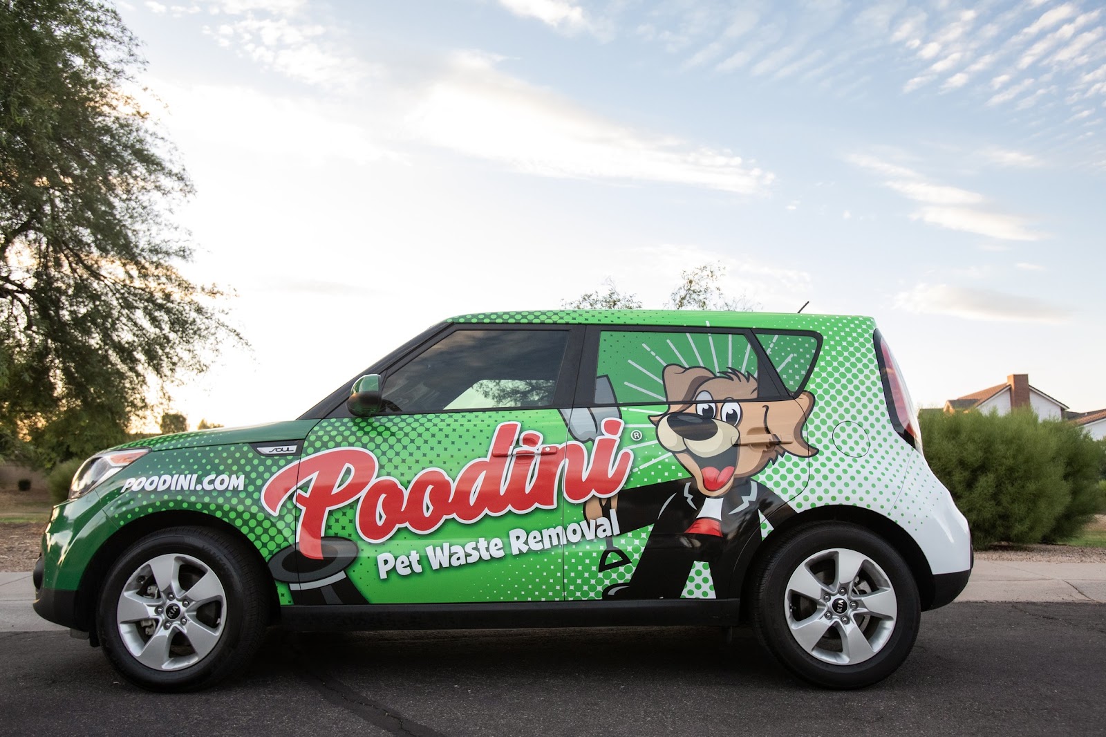 Poodini Pet Waste Removal