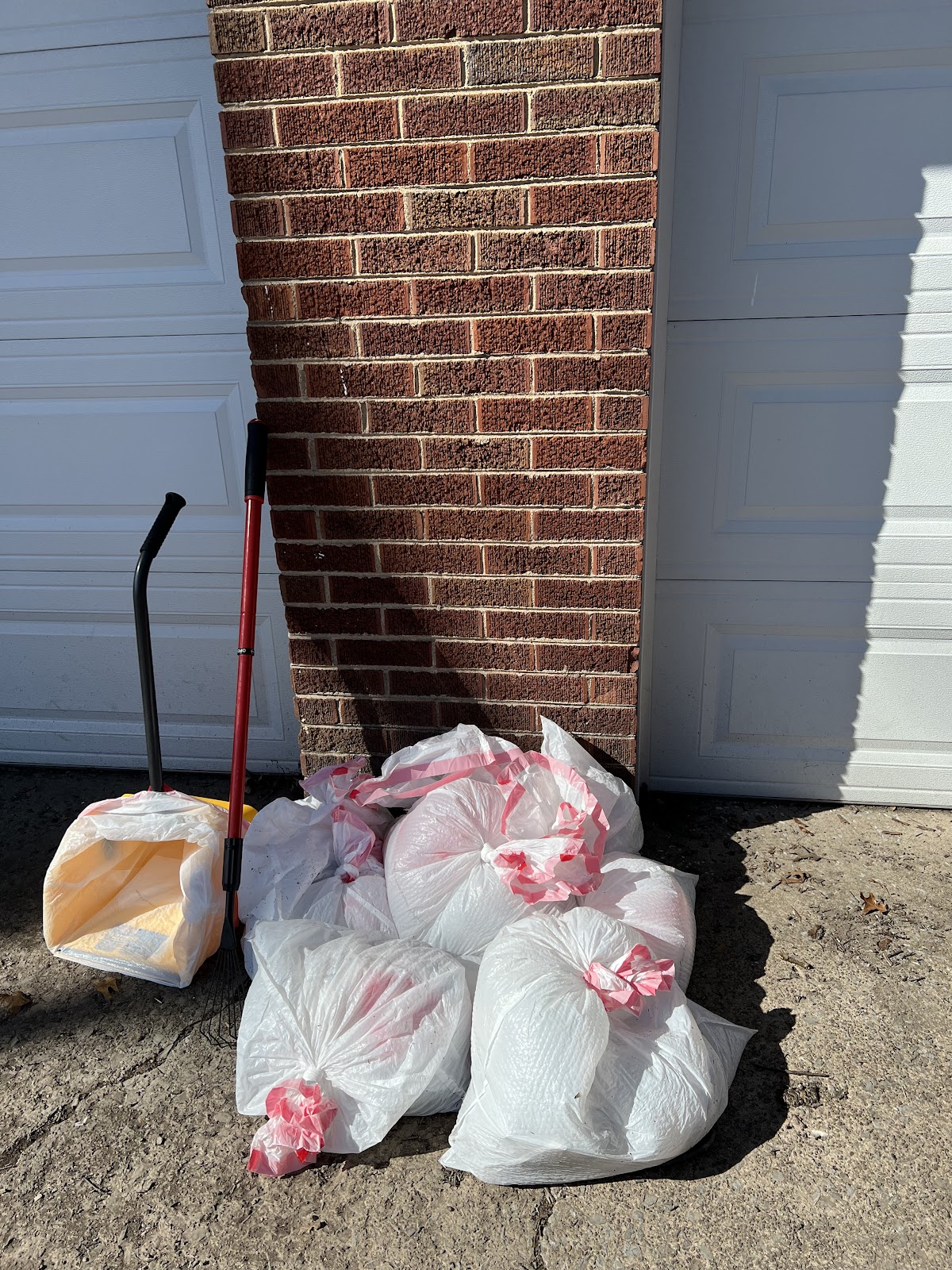 Scoopin Paws - Photo 2