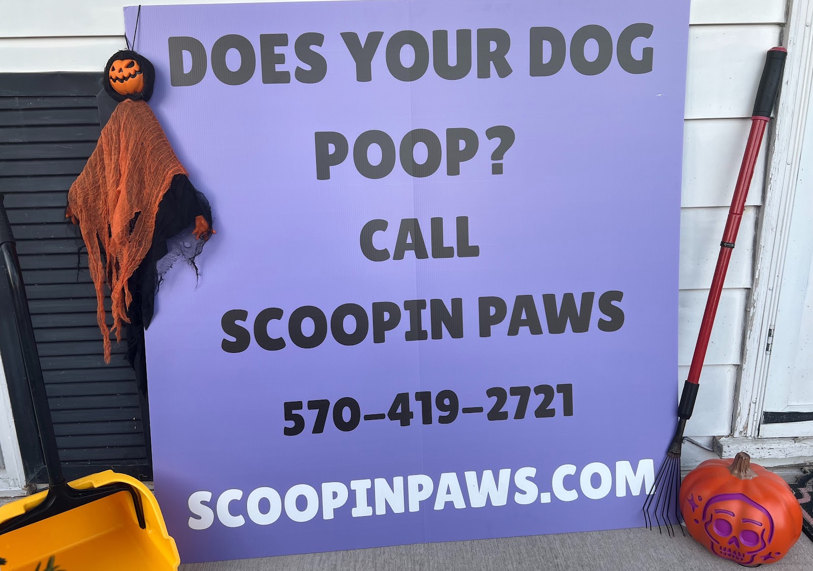 Scoopin Paws - Photo 3