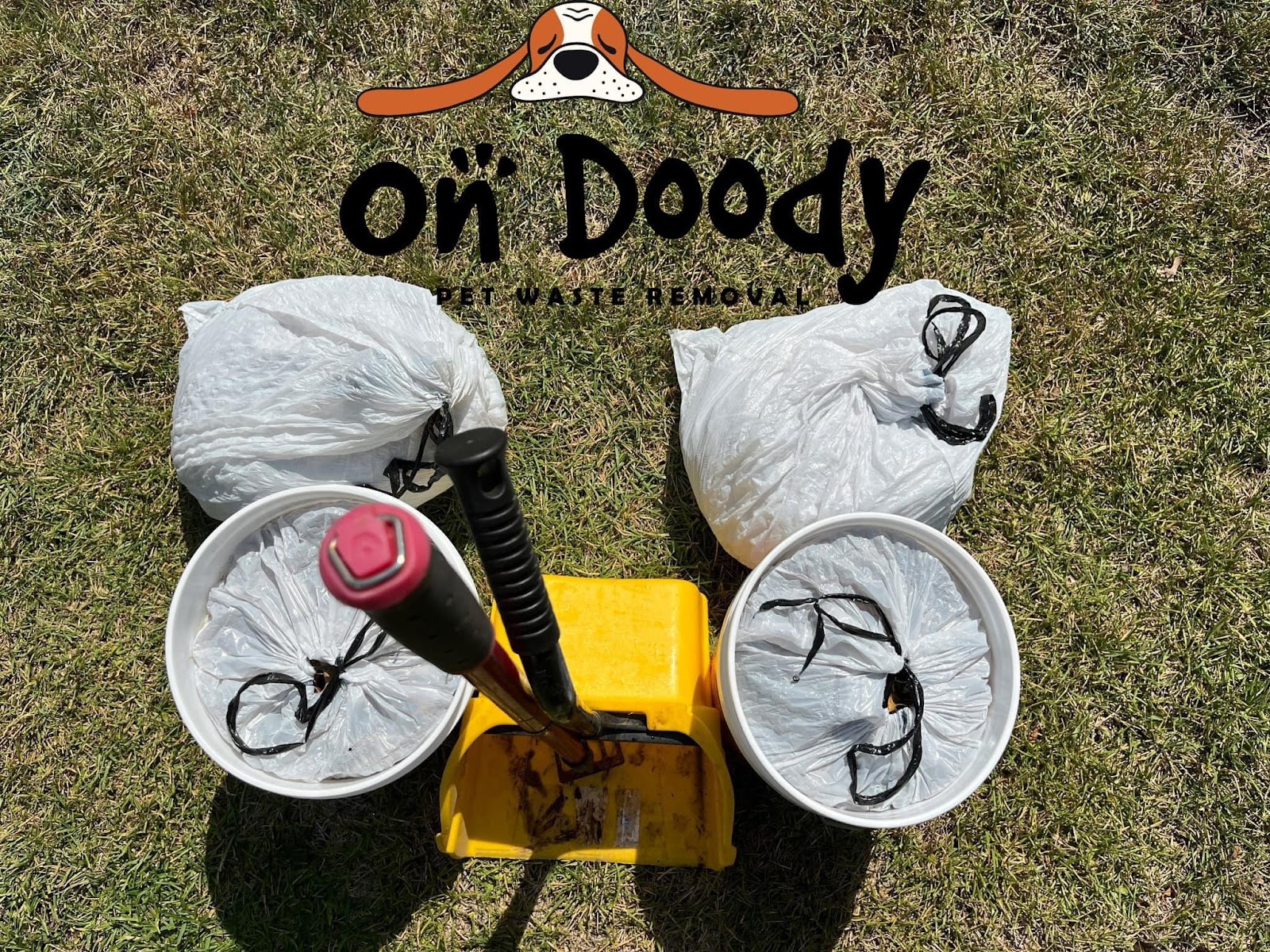 On Doody Pet Waste Removal - Photo 2
