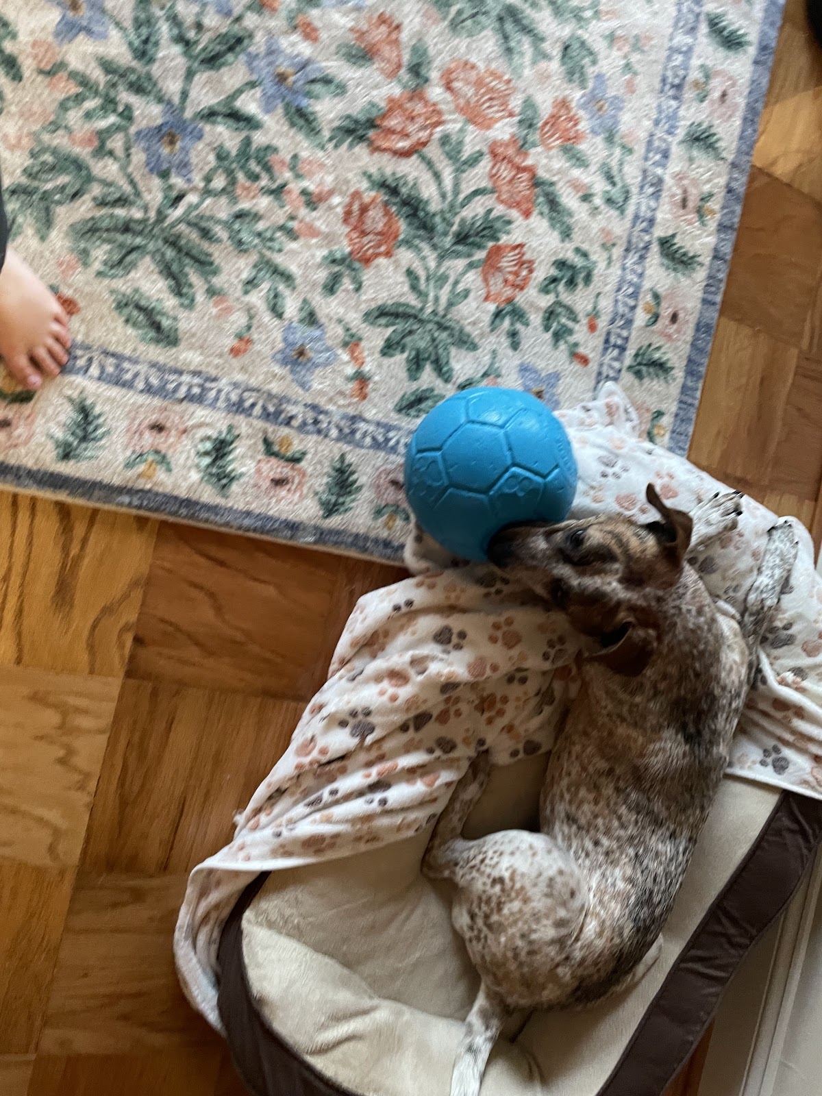 PoopScoop Troopers - Photo 3