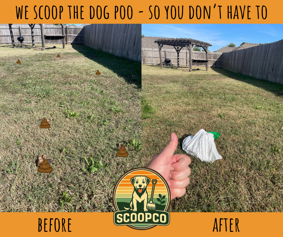 ScoopCo - Photo 3