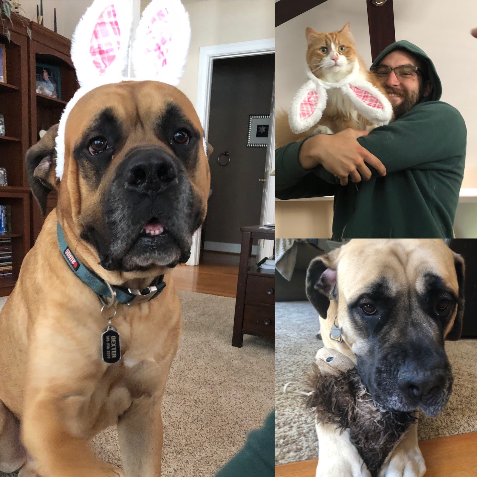 Pet Scoop And Care - Photo 2