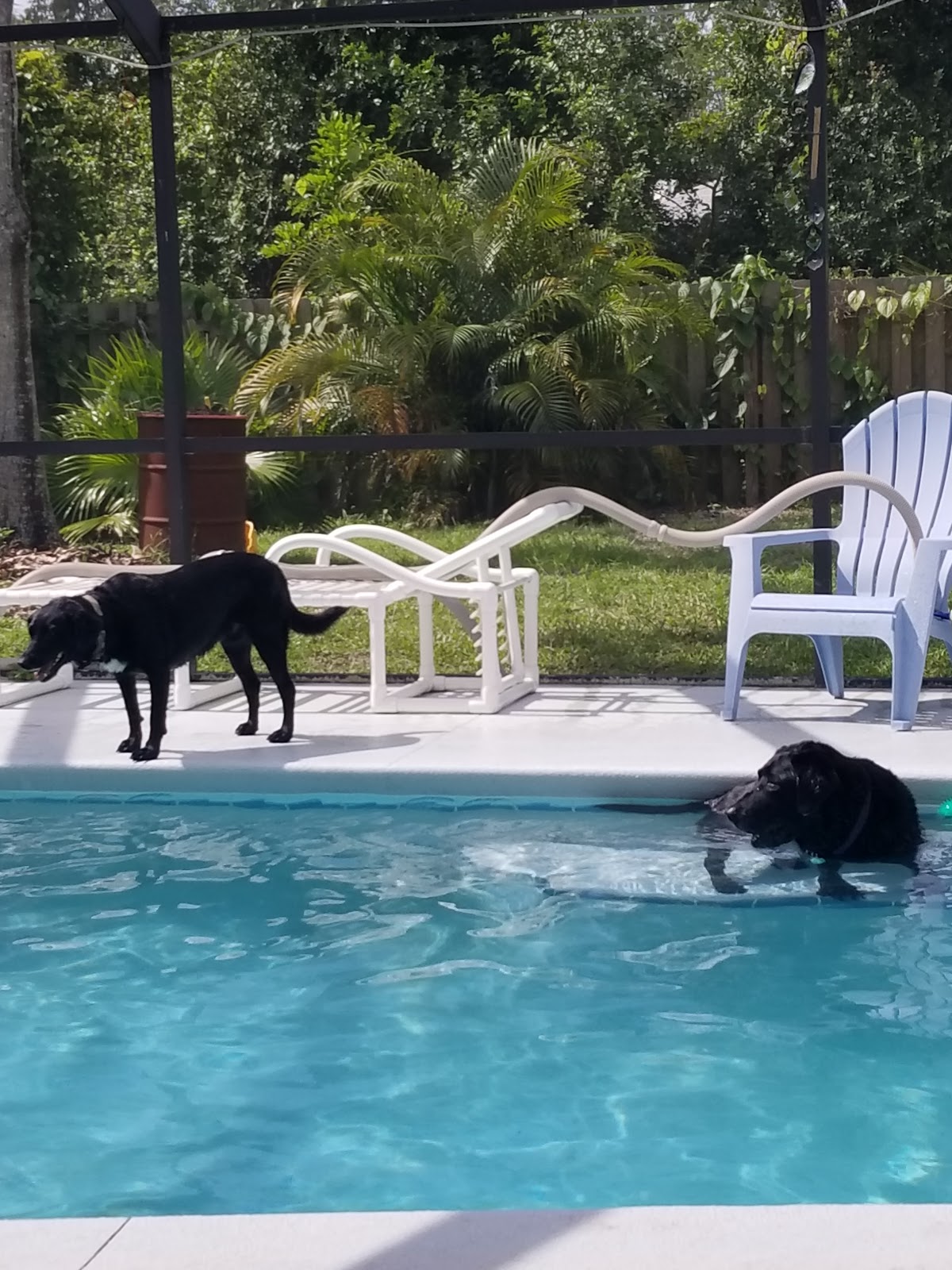 POOP 911 Treasure Coast - Photo 3