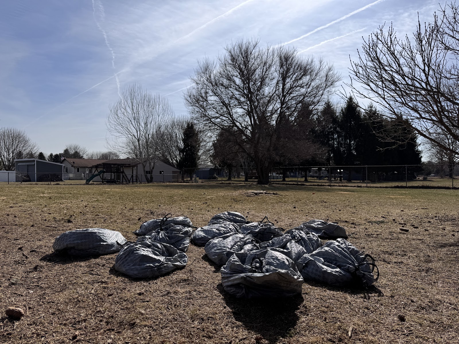 Scoop Troops - Pet Waste Removal - Photo 2