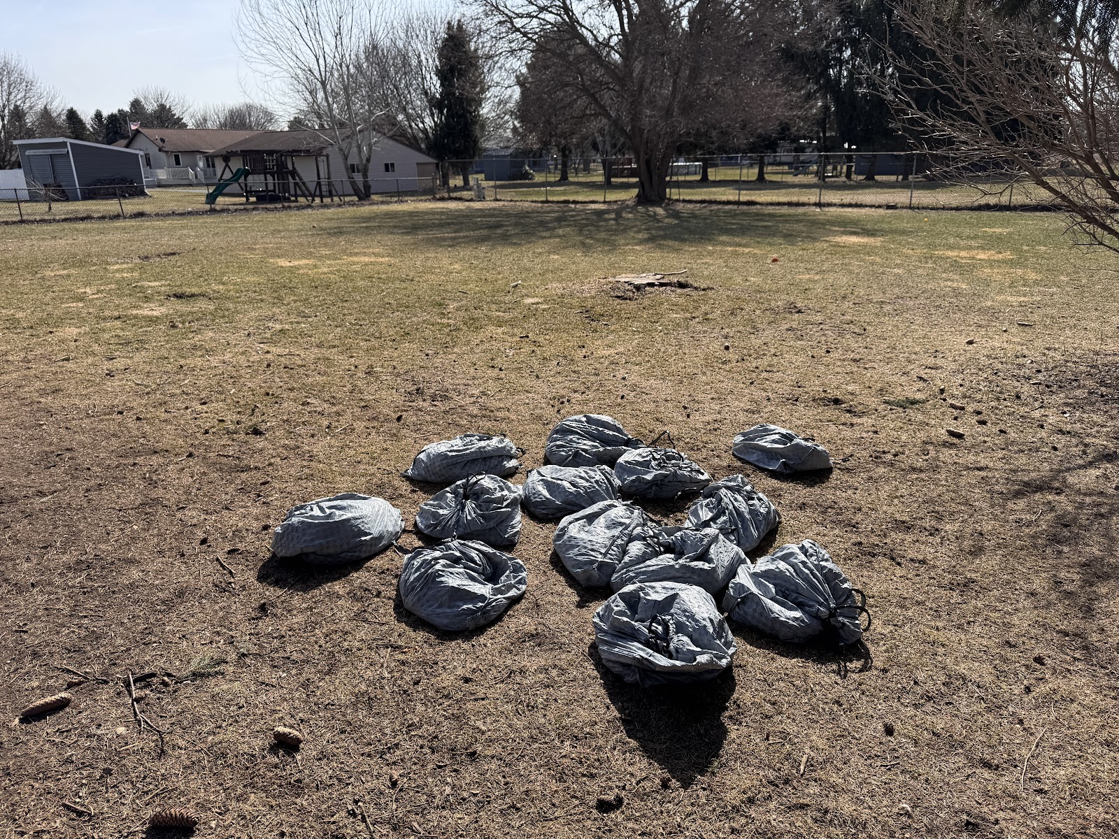 Scoop Troops - Pet Waste Removal - Photo 4