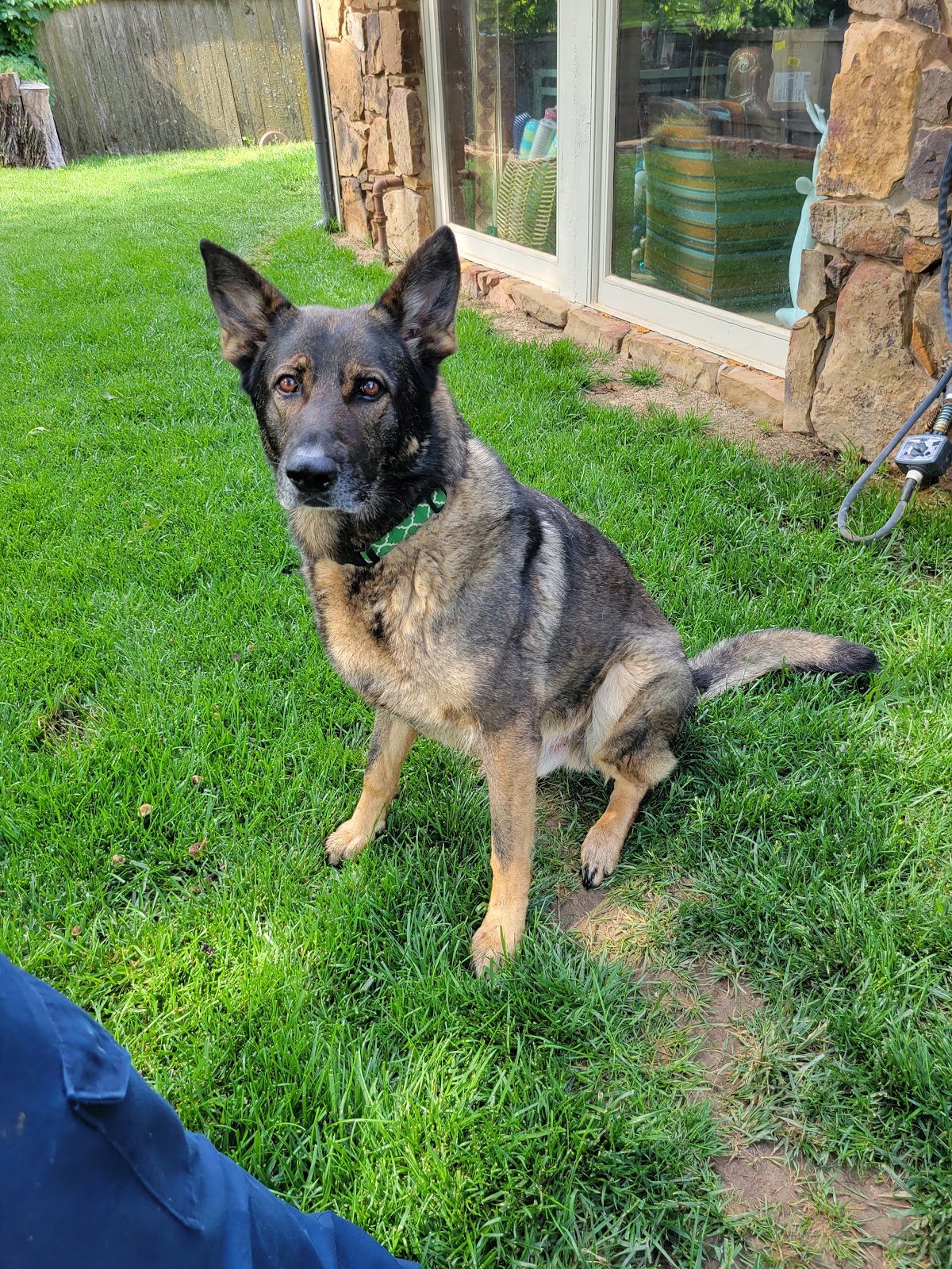 Bye Bye Poop OKC - Photo 2