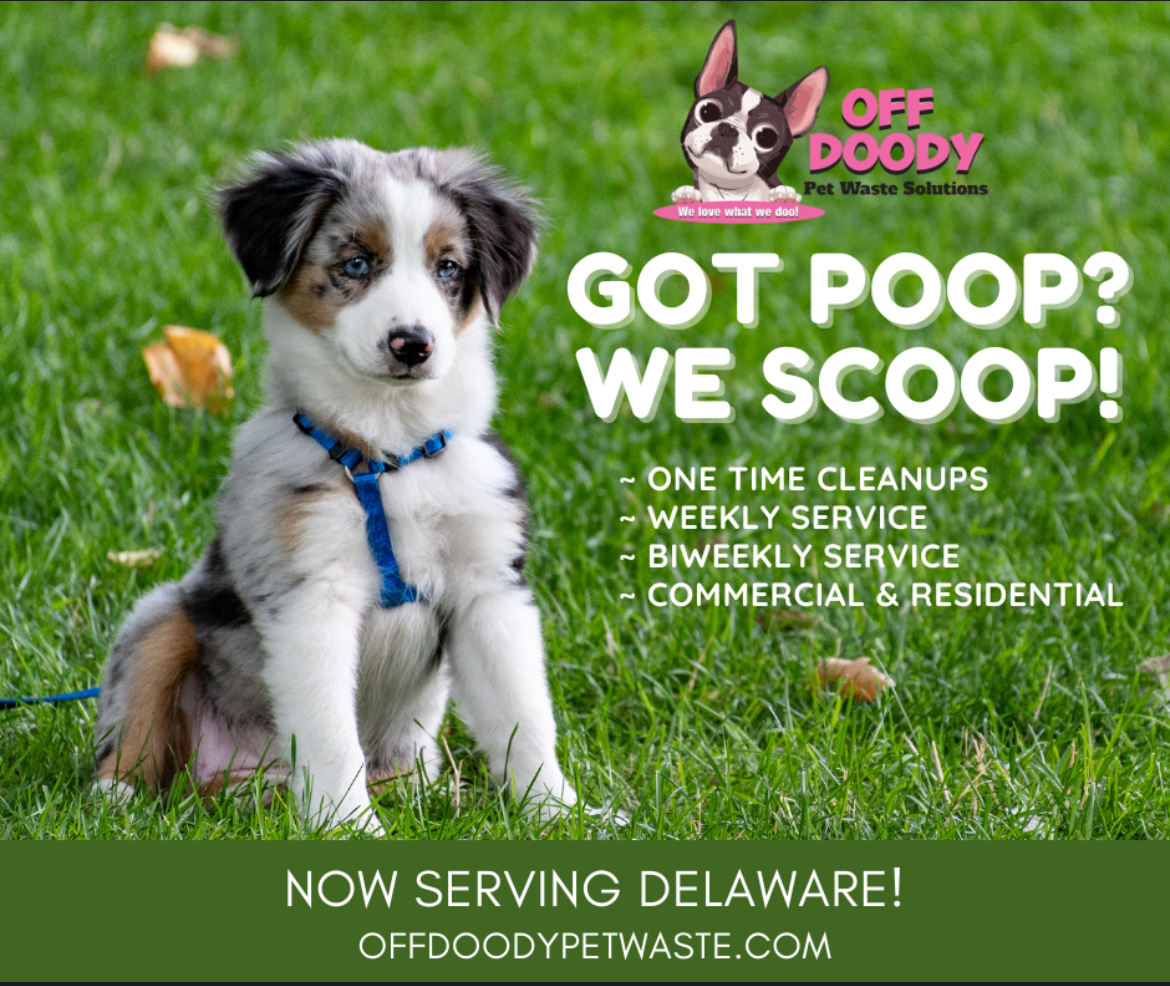 Off Doody Pet Waste Solutions