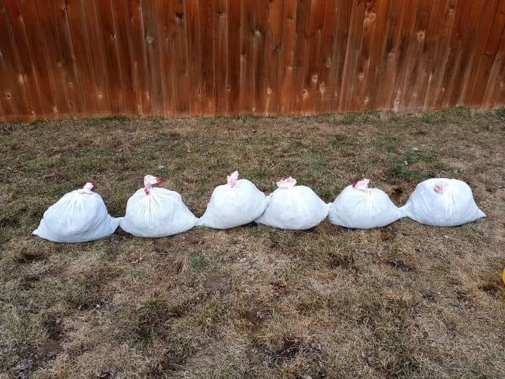 Off Doody Pet Waste Solutions - Photo 4