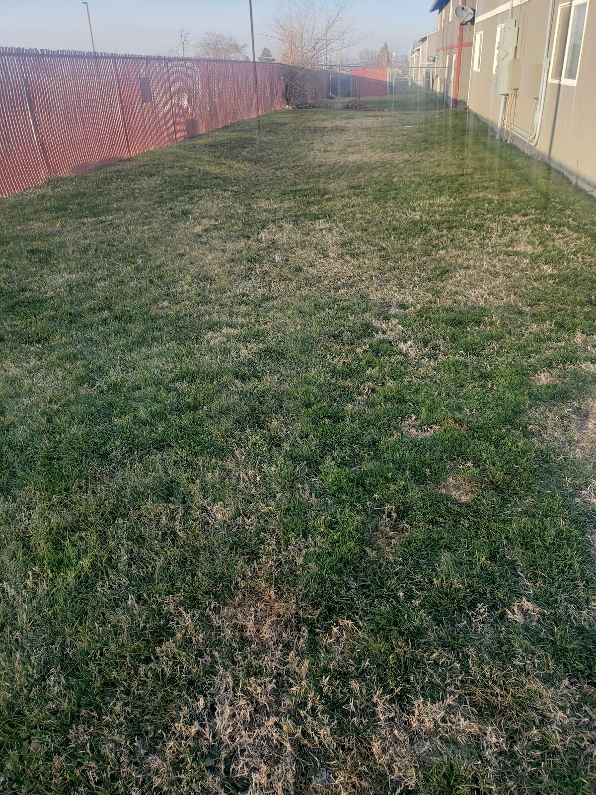 Your Local Scoop - Photo 3