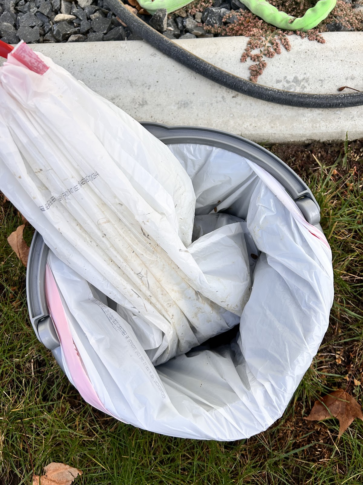 Your Local Scoop - Photo 4