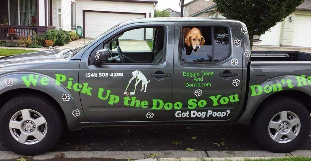Doggie Doos and Don'ts