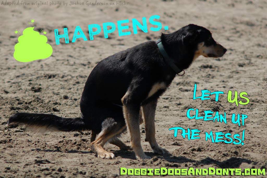 Doggie Doos and Don'ts - Photo 3