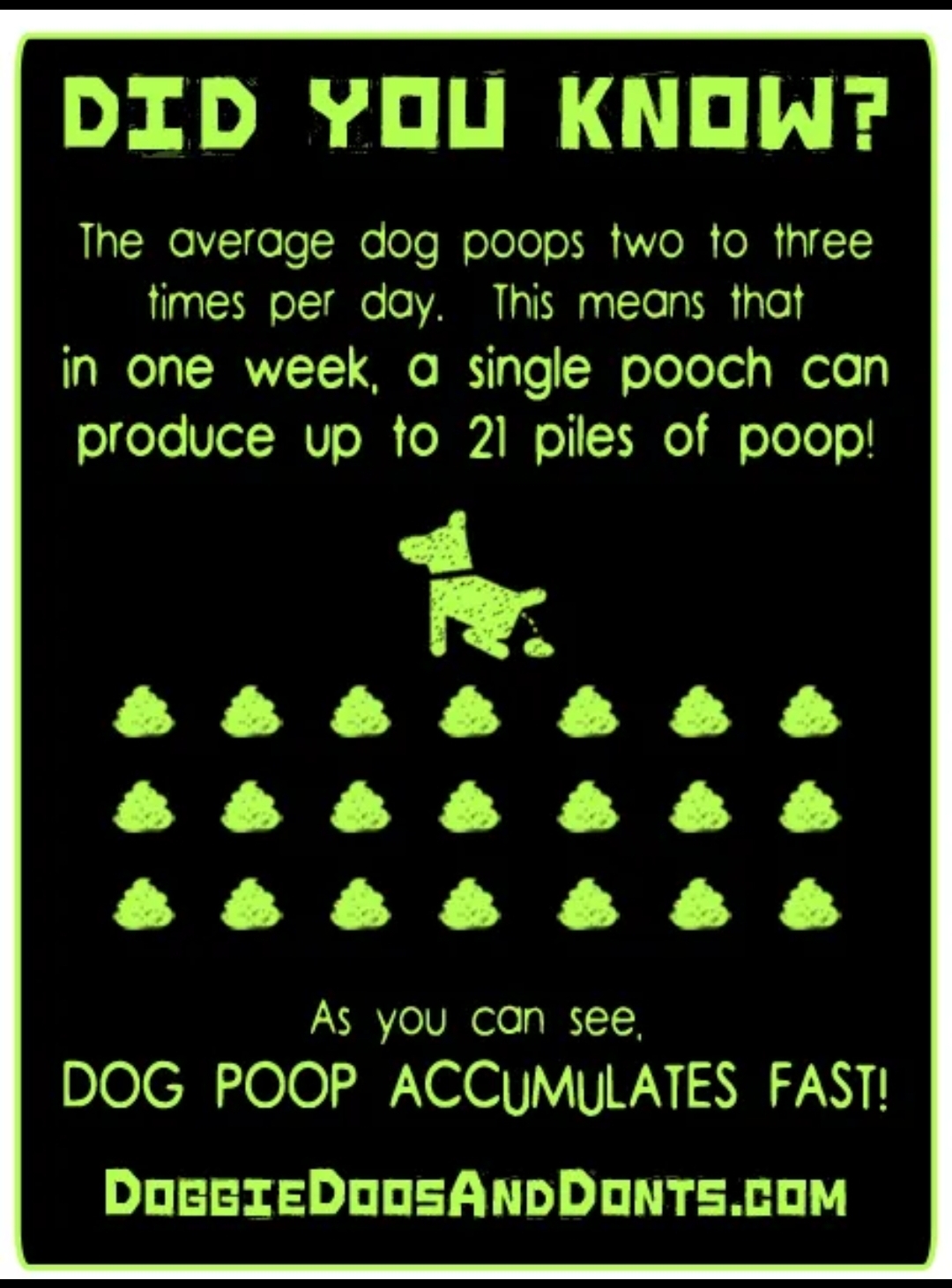 Doggie Doos and Don'ts - Photo 4