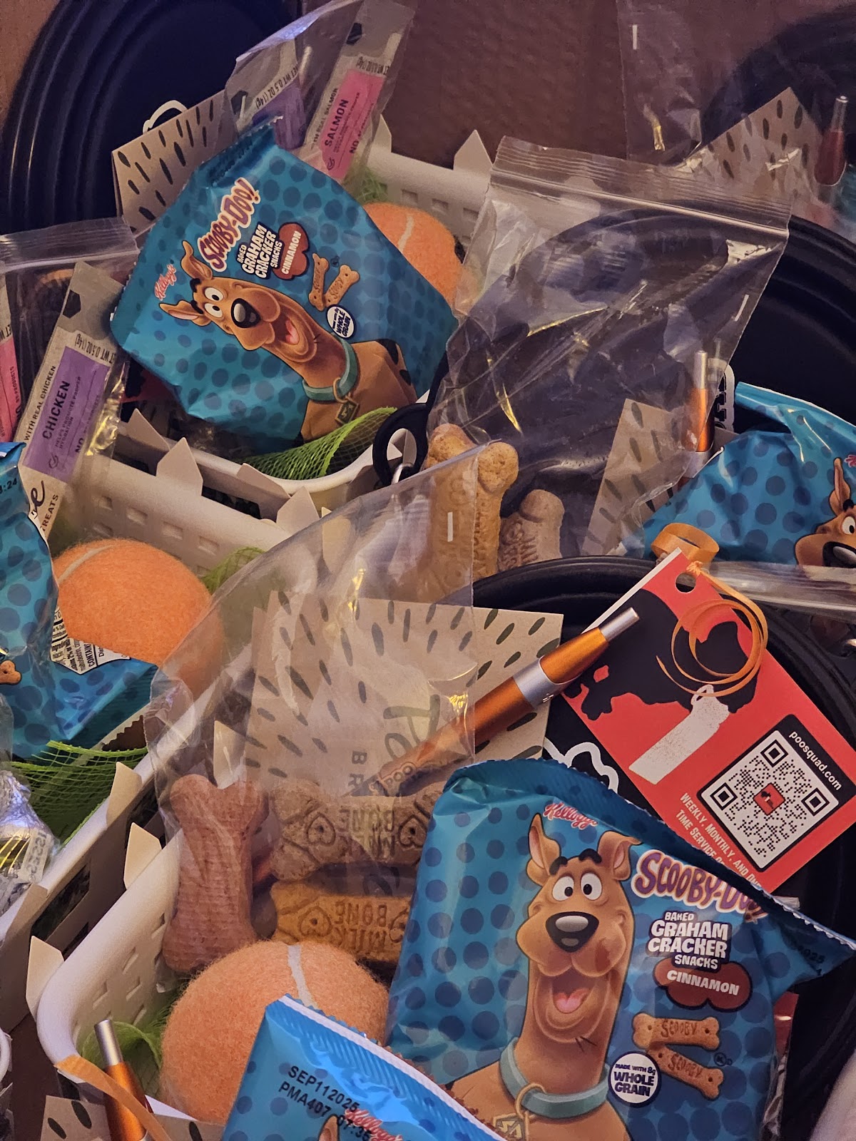 Poo Squad Springfield - Photo 3