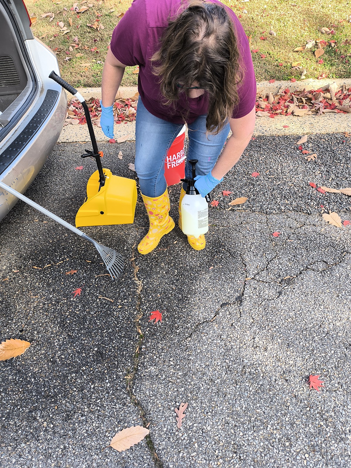 Scooter Scoops - Photo 4