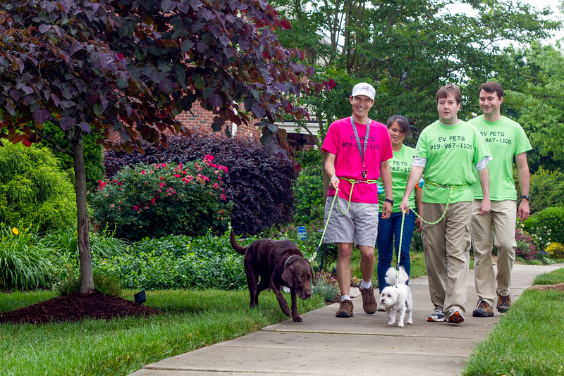 Extraordinary Pet Service