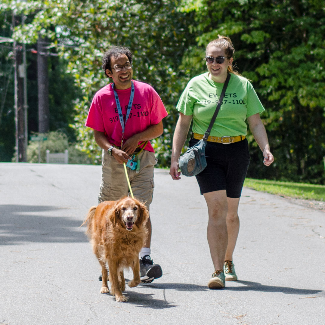 Extraordinary Pet Service - Photo 4