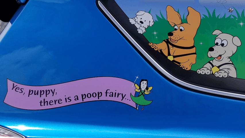 Pet waste management