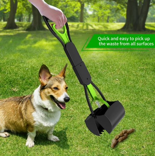 LJJ Pet Waste Removal Service