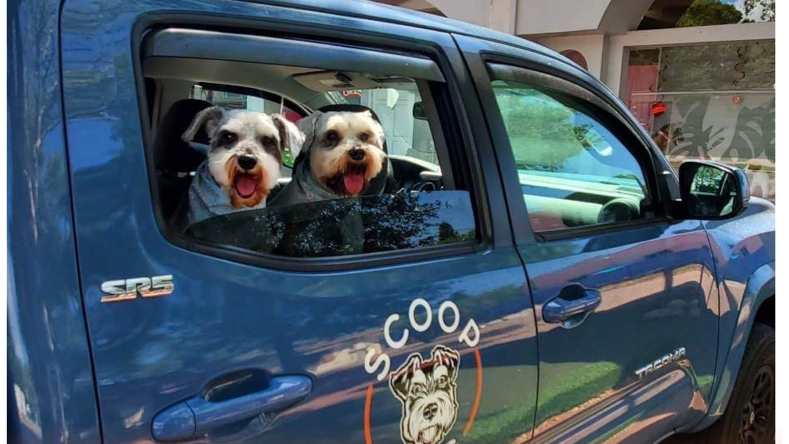 Scoop Dog Poop Scoop Service - Photo 3