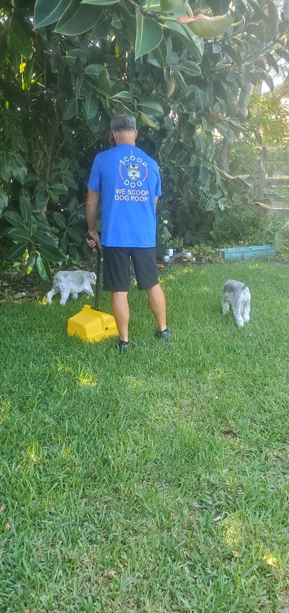 Scoop Dog Poop Scoop Service - Photo 4